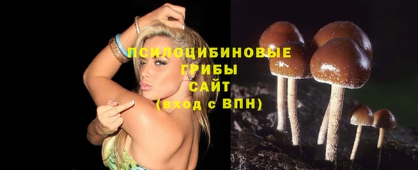 гашишное масло Сатка